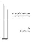 A Simple Process Flute Solo / Keyboard Percussion Ensemble cover